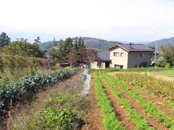 自然農園 はこべ 食品 松本市東地区 ずくラボ