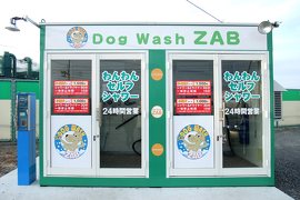 dog wash