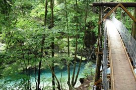 阿寺渓谷 景勝地 木曽地区 ずくラボ 阿寺渓谷 景勝地 木曽地区 ずくラボ