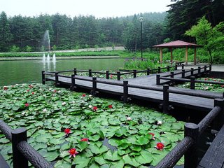 室山池の写真